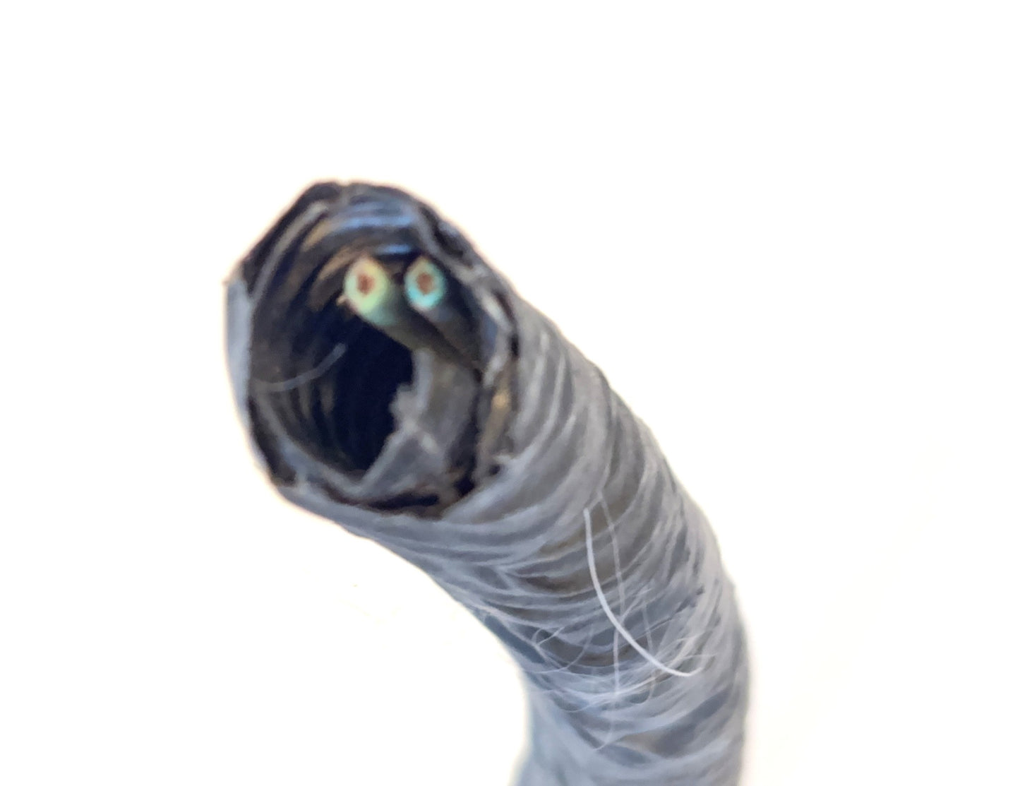 Tailgate Wiring Harness Chassis End Pigtail 2013-2018 Ram 1500 2500 3500