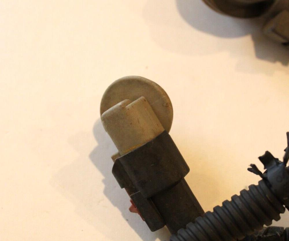 Taillamp Taillight Wiring Sockets with Pigtail, 2007-08 Ram 1500 2500 3500