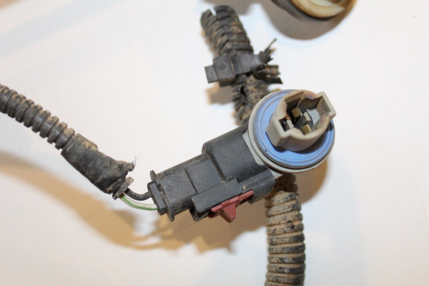 Taillamp Taillight Wiring Sockets with Pigtail, 2007-08 Ram 1500 2500 3500