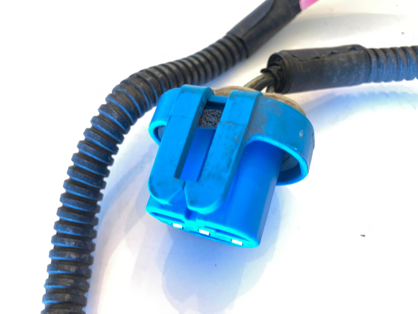 Headlight and Turn Signal Socket w/ Pigtail 02-05 Ram 1500 03-05 2500 3500 L & R