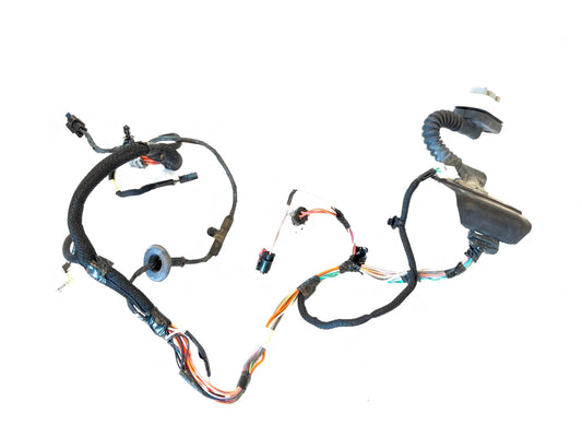 Passenger Rear Door Harness 2013-15 Ram 1500 2500 3500 68160038AC LED Lighting