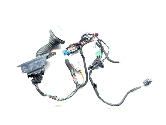 Passenger Front Door Harness 2009 Dodge Ram 1500 Quad or Crew, 68042996AA