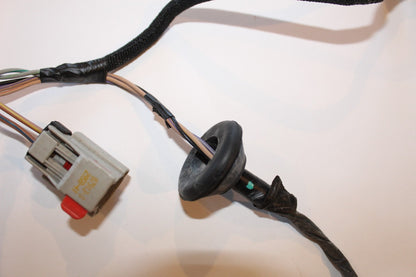 Driver Left Rear Door Wiring Harness, 2009 Dodge Ram 1500 Quad 68042004AB