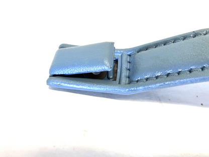 Blue Door Pull 1979-86 Dodge Ram Pickup and Ramcharger