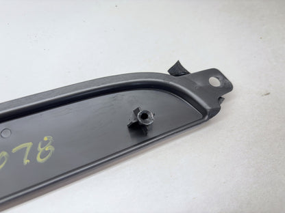Daytona Door Panel Insert Pair, 2005 Dodge Ram 1500 Daytona Edition Silver