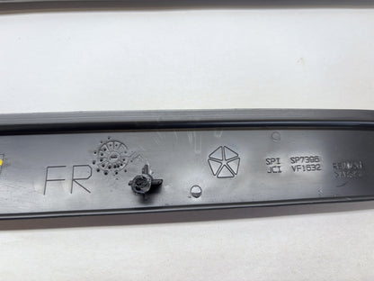 Daytona Door Panel Insert Pair, 2005 Dodge Ram 1500 Daytona Edition Silver