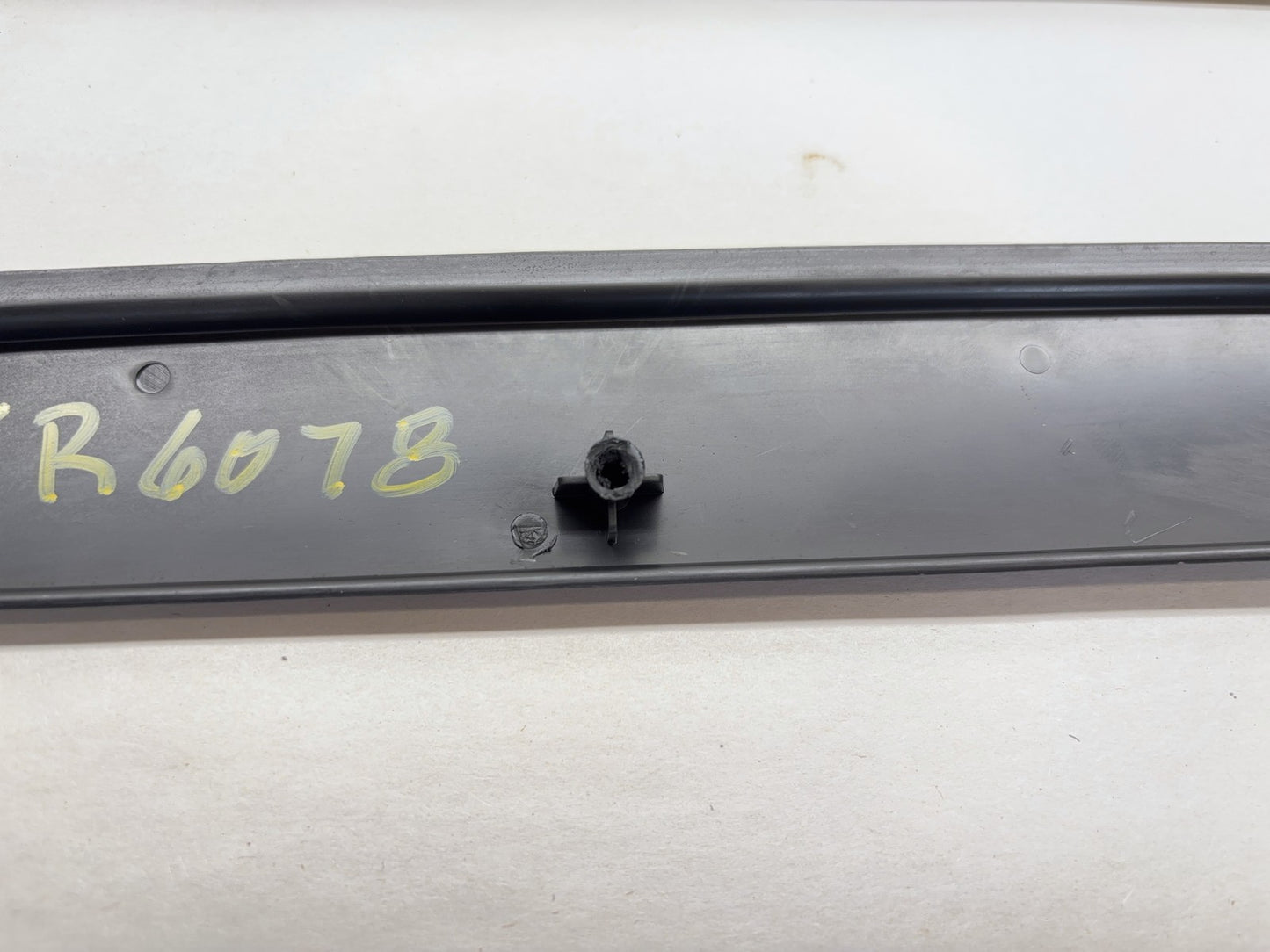 Daytona Door Panel Insert Pair, 2005 Dodge Ram 1500 Daytona Edition Silver