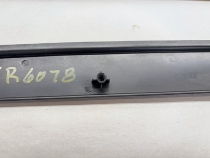 Daytona Door Panel Insert Pair, 2005 Dodge Ram 1500 Daytona Edition Silver