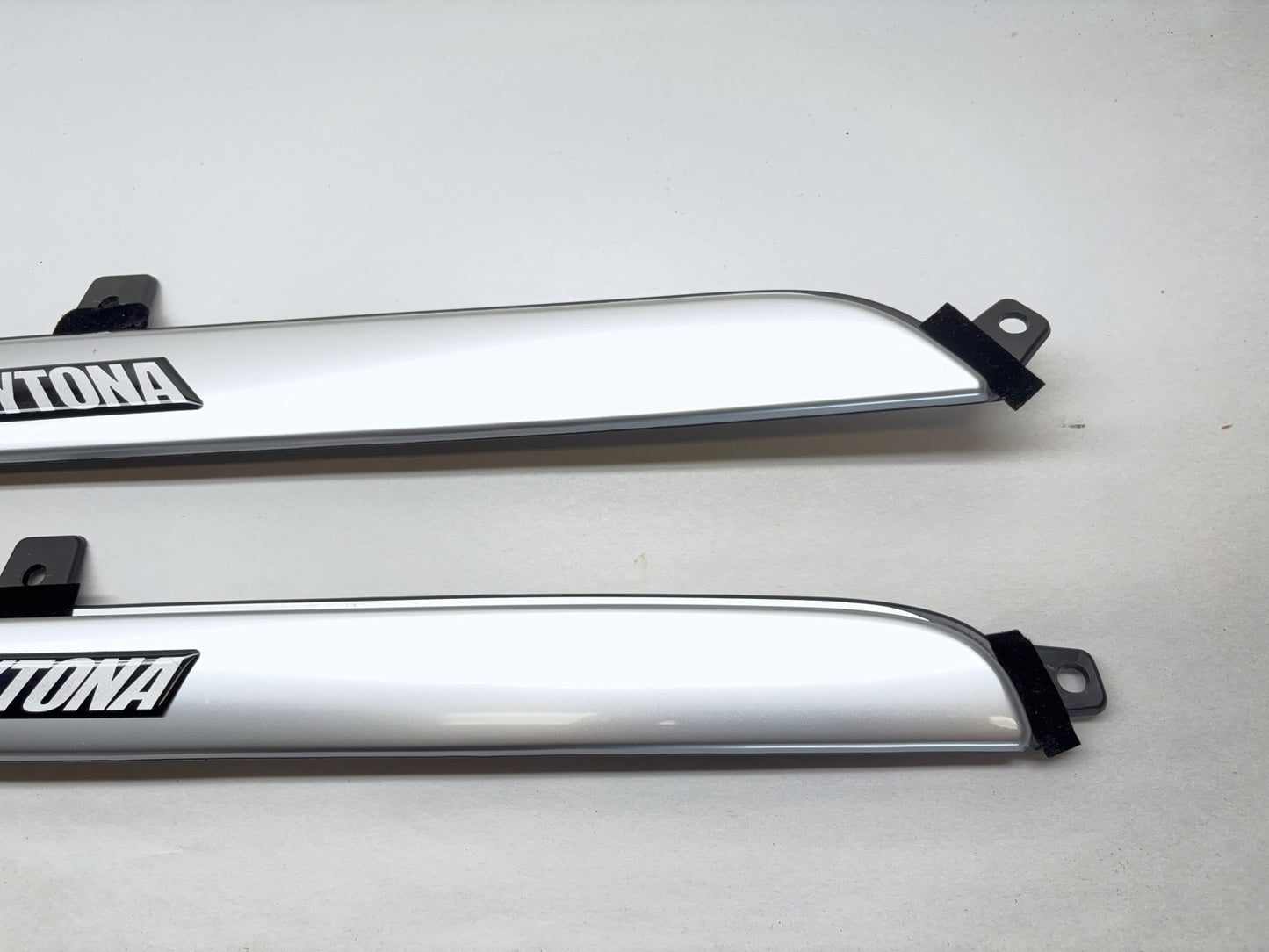 Daytona Door Panel Insert Pair, 2005 Dodge Ram 1500 Daytona Edition Silver