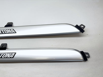 Daytona Door Panel Insert Pair, 2005 Dodge Ram 1500 Daytona Edition Silver