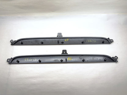 Daytona Door Panel Insert Pair, 2005 Dodge Ram 1500 Daytona Edition Silver