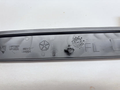 Daytona Door Panel Insert Pair, 2005 Dodge Ram 1500 Daytona Edition Silver