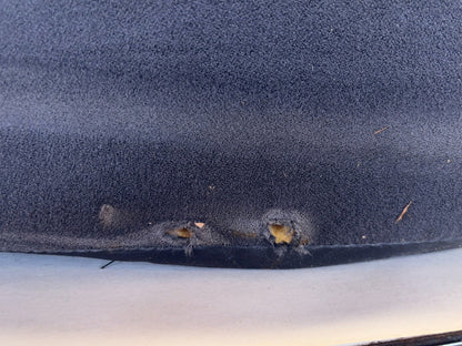 Agate Passenger Side Seat Bottom, 1998-01 Ram 1500 2500 3500 Club Cab Quad Cab